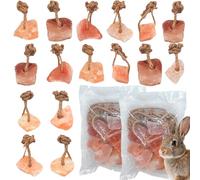 Hamiledyi 16 PCS Rabbit Salt Lick Block Natural Small Animal Himalayan Salt Lick Chew Toys with Hanging Rope Rat Mineral Block Chew Treat Supplies for Bunny Guinea Pig Chinchilla Ferret Hametsr