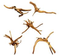 Hamiledyi 5PCS Driftwood for Aquarium 7-9inch Natural Reptile Spider Wood Assorted Branches Aquarium Decoration Fish Tank Ornament Decor.