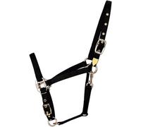 Hamilton 1-Inch Nylon Halter with Adjustable Chin, Black - Average Size