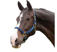 Hamilton 1-Inch Nylon Halter with Adjustable Chin, Navy Blue - Average Size