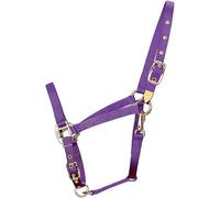 Hamilton 1-Inch Nylon Halter with Adjustable Chin, Purple - Average Size