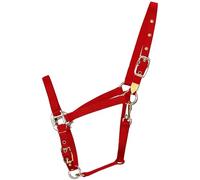 Hamilton 3/4-Inch Nylon Arabian Horse Halter with Adjustable Chin and Throat Snap, Average, 800 to 1100 pounds, Red