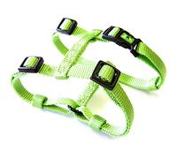 Hamilton Adjustable Comfort Nylon Dog Harness Lime Green 1"""" x 40-50""""