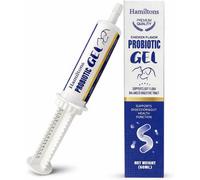 Hamiltons Probiotic Paste Gel For Dogs And Cats Chicken Flavour 60Ml Gut Health Digestive Supplement Fast Acting Ingredients