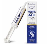 Hamiltons XL 60ml Probiotic & Prebiotic Paste for Dogs & Cats - Chicken Flavour Digestive Supplement - Supports Firm Stools, Digestive Upset & Gut Balance - Immune Support - Large Tube for All Breeds