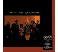 Hamish Stuart - Sooner or Later (180g Clear Vinyl) [VINYL]
