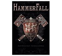 Hammerfall Poster Flag Steel Meets Steel