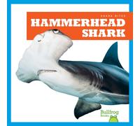 Hammerhead Shark
