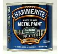 Hammerite Metal Paint Smooth 250ml Wild Thyme by Hammerite