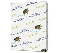Hammermill Colored Paper, 20 lb Gray Printer Paper, 8.5 x 11-1 Ream (500 Sheets) - Made in the USA, Pastel Paper, 102889R