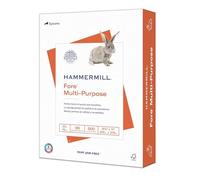 Hammermill Printer Paper, Fore Multipurpose 20 lb Copy Paper, 8.5 x 11-96 Bright, Made in The USA, 103267 (1 Ream, 500 Sheets Total)