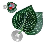 Hammock di foglie di pesce betta, cuscinetto foglie di pesce betta | Piante fogliari aquarium pad, Pesci realistici leggeri di riproduzione di pesci che riproducono letto a riposo per acquari e