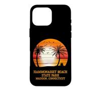 Hammonasset Beach State Park Madison Connecticut Vintage Sun Case for iPhone 16 Pro Max