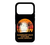 Hammonasset Beach State Park Madison Connecticut Vintage Sun Case for iPhone 17 Pro