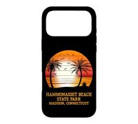 Hammonasset Beach State Park Madison Connecticut Vintage Sun Case for iPhone 17 Pro Max