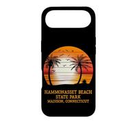 Hammonasset Beach State Park Madison Connecticut Vintage Sun Case for iPhone Air