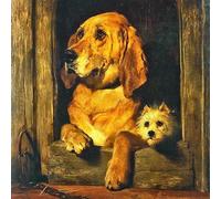 Hammond Gower Blank Card for Men or Women - Charming Dogs Design - Hand-finished with Diamante Gems - Premium Greeting Card with Envelope - Suitable for Birthdays & Other Occasions