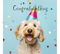 Hammond Gower Congratulations Card for Male or Female Colleague - Cute Cockapoo Dog in Party Hat - Hand-finished with Diamante Gems - Large Premium Greeting Card with Envelope