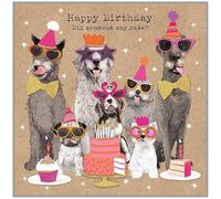 Hammond Gower Female/Male Birthday Card - General Funny Card for Women/Men - Dogs in Fancy Dress and Sunglasses - Eco-Friendly