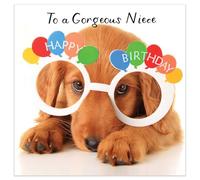 Hammond Gower Fun Birthday Card for Niece - Cute Dog Design - Handfinished with Diamante Gems - Premium Greeting Card with Envelope for a Gorgeous Niece