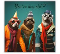 Hammond Gower Funny Birthday Card for Men - Rude 'You're How Old?' Seals Design - Handfinished with Diamante Gems - Hilarious Animal Birthday Greeting Card