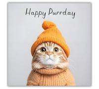 Hammond Gower Funny Male/Female Birthday Card - Happy Birthday Card for Men/Women or Children with Humorous 'Happy Purrday' Cute Kitten Design and Gem Embellishments
