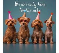 Hammond Gower Male/Female Birthday Card - Happy Birthday Card for Men, Women or Children with Cute 'We are Only Here for Cake' Puppy Dogs Design and Gem Embellishments