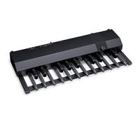 Hammond XPK-200G 20-note MIDI bass pedal