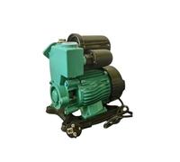 HamPaesk 1pc Self Priming Pump Household Full-automatic Silent 220V 125W/250W Booster Water Suction Pipe Pipeline Pumping Machine(250W copper wire)