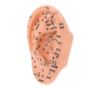 HAMPPLIES 1Pc Ear Massage Model Practical Human Ear Acupuncture Model for Teaching Reflexology Safe Marked Acupuncture Points for Tcm Learning Chocolate Color
