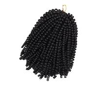 HAMPPLIES Fashion Women Braid Wig Curly Low Temperature Synthetic Hairpiece Dreadlock Wig Short Braided Natural Style for Daily Wear