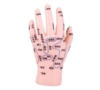 HAMPPLIES Hand Reflexology Simulation Model for Tcm Teaching Durable PVC Acupuncture Display with Markings Easy Learning Aid for Medical Institutions and Massage Therapy