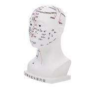 HAMPPLIES Human Head Acupuncture Model with Precise Facial Acupoints PVC Educational Massage Tool for Medicine Students and Teaching Demonstrations