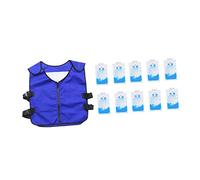 HAMPPLIES Lightweight Ice Cooling Vest for Outdoor Use with Ice Packs for Men and Women High Temperature Clothing for Summer Activities Quick Cooling and Sunstroke Prevention
