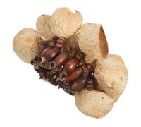 HAMPPLIES Natural African Beaded Nut Shell Bracelet Handbell Tribal Shaker Wristband for Percussion Dance Yoga and Festival Music Performances