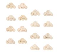HAMPPLIES Wooden Cloud Shaped Monthly Cards Double Sided Photo Props Announcement Discs Growth Record Markers for Newborn Calendar Months Progress