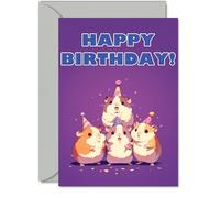 Hampster Birthday Cards for Her Him - Party Animals Pyramid - Happy Birthday Card for Mum Dad Brother Sister Auntie Uncle Cousin Friend Family Colleague A5 Bday Greeting Cards
