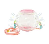 Hamster Ball Large Portable Large Clear Silent Running Ball