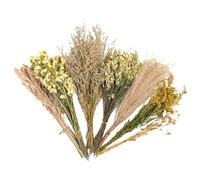 Hamster Bedding - Flower Hamster Bedding, Natural Flowers and Grasses, 25cm/9.84 inches, Bundled and Arranged Natural Elements