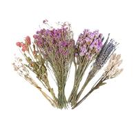 Hamster Bedding Flowers | Natural Gerbil Habitat Decoration | Chinchilla Habitat Decoration,for Bird Weddings Camping Themed Parties Christmas Easter Art Festivals Pet Parents Veterinary Clinics