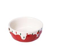 Hamster Bowl Small Animals Rat Water Drinker Chinchilla Ceramic Gerbil Chewing Pet Supplies(red)