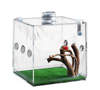 Hamster Cage - Escape - Cautious Small Animal Habitat with Removable Tray | Ventilated Foundation Home for Dwarf Hamsters, Mice and Pet Rodents | Easy-Trean Safety Cage with Accessories
