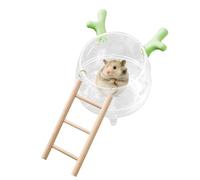 Hamster Cage Sand Container | Transparent Pet Hamsters Sand Bath Box,Animal Habitat Decor Small Pet Animals Cage Accessories for Hedgehogs, Lemmings