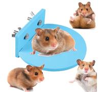 Hamster Cage Station,Hamster Cage Accessories - Anti-slip Toy Habitat Supplies For Pet Chinchilla Small Animal Play Area And Enrichment Accessories
