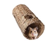 Hamster: Chew Resistant Cage Tube Design, Interactive Play Activity Structure, Soft and Safe Inner Step, Material and Flexible Construction | for