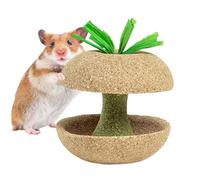 Hamster Chew Toys, Fruit Shaped Small Animal Treats, 3.15x3.15x3.15 Inch Compact & Easy to Place Inside Cage, Natural Teeth Healthy Toy for Bunny, Chinchilla, Gerbil, and Squirrel