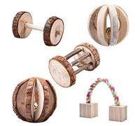 Hamster Chew Toys, Teeth Care Natural Wooden Toys, Small Animal Molar Toy, Boredom Breakers Cage Accessories For Rat Guinea Pig Chinchilla Gerbils Rabbit And Other Small Animal (5 Pcs set)