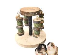 Hamster Chew Toys - Wooden Natural Multifunctional Teething Treats | Hamster Chew Toys | for Teeth Grinding Mice Gerbil Chinchilla Dwarf Pet Indoor Home