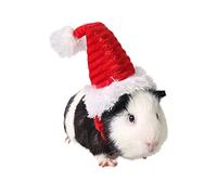 Hamster Christmas Hat Small Pet Christmas Costume Guinea Pig Santa Hat Pet Outfits for Rabbit Guinea Pig Chinchilla Cat