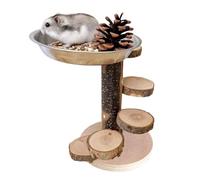 Hamster Climbing Toy - Stair Ramp 23x14x14cm, Enrichment Activity Set | Stainless Steel Feed Grinding Station for Thu Structure